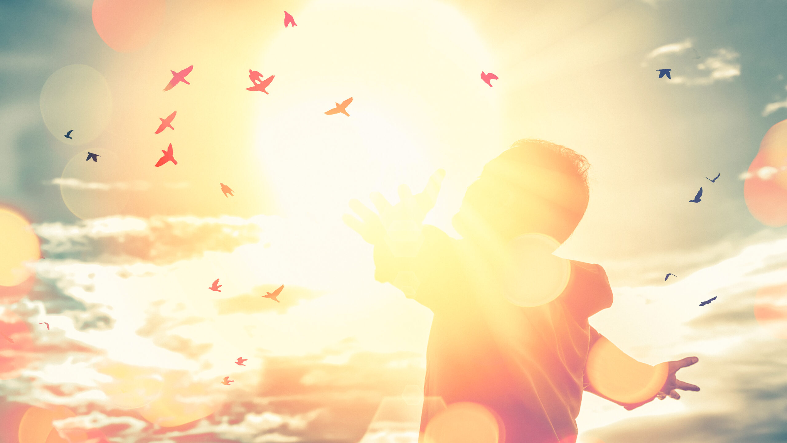 Person mit ausgebreiteten Armen im Sonnenlicht und fliegende Vögel – Symbol für Freiheit durch Hypnose, Spirituelle Begleitung und Gesundheitstraining bei Dodo Stehlo in Pfäffikon SZ, unweit von Wollerau, Schindellegi, Wilen, Bäch, Freienbach, Altendorf, Lachen, Wangen, Siebnen, Galgenen, Rapperswil.