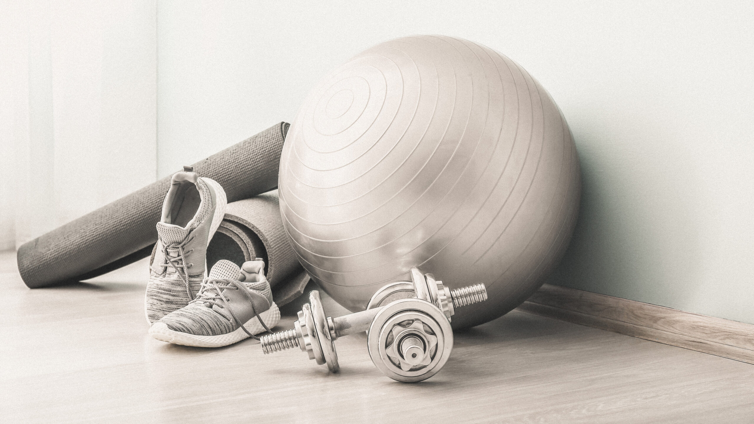 Trainingsequipment mit Gymnastikball, Hanteln und Matte – Vielseitiges Krafttraining, Rückentraining und Aufbautraining bei Dodo Stehlo in Pfäffikon SZ, unweit von Wollerau, Schindellegi, Wilen, Bäch, Freienbach, Altendorf, Lachen, Wangen, Siebnen, Galgenen, Rapperswil.