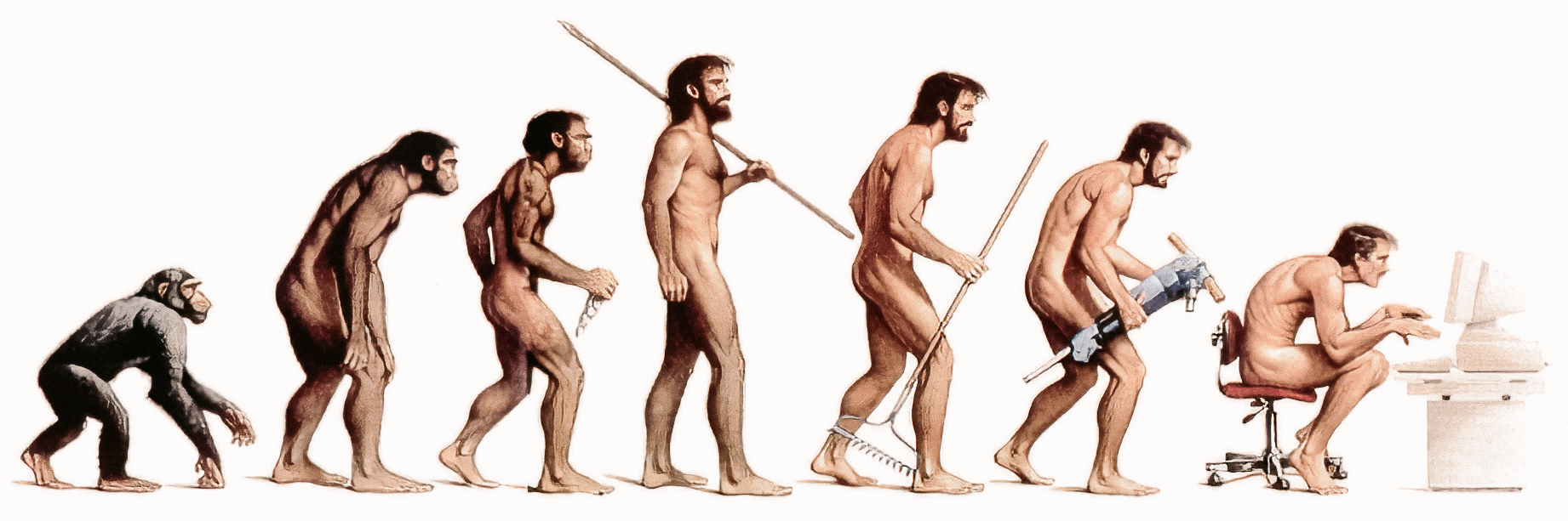 Grafik der Evolution vom Affen zum sitzenden Bürolisten – Darstellung von Haltungsschäden durch Vielsitzerei und die Notwendigkeit von Bewegung bei Dodo Stehlo in Pfäffikon SZ.