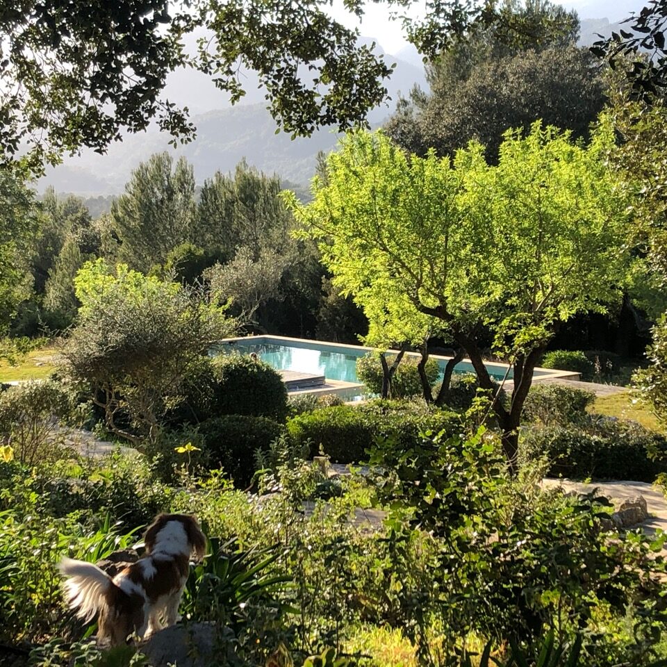 Yoga & Sonne, Garten & Pool La Serrania